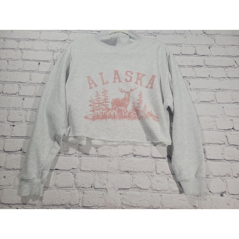 Aerie Alaska Graphic Cropped Sweatshirt Gray Pink Mock Neck Small